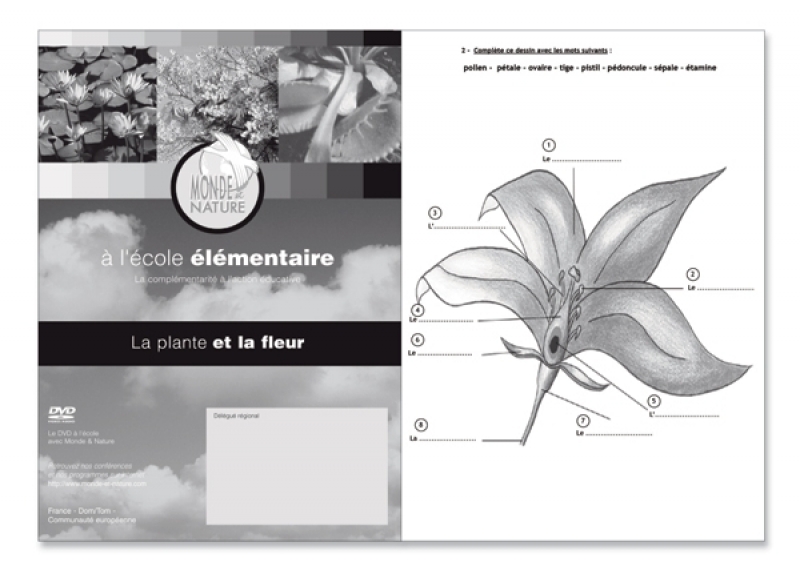 Cahier d'Exercices Là Plante et La Fleur Monde et Nature