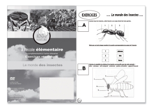 Cahier d'Exercices Le Monde des Insectes Monde et Nature