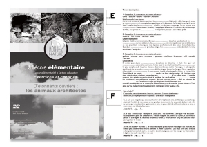 Cahier d'Exercices Les Animaux Architectes Monde et Nature