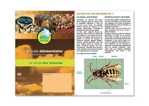 Livret Pédagogique Le Monde des Insectes Monde et nature