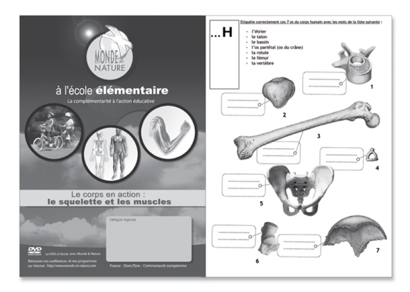 Cahier d'Exercices Le Squelette etLes Muscles Monde et Nature
